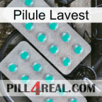 Lavest Pill 29